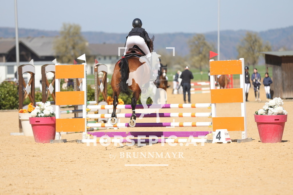 0P6A9700 | Willkommen bei Brunnmayr - Design & Fotografie – Ihrem Spezialisten für Reitturniere und Pferdeveranstaltungen in Oberösterreich, Salzburg und Bayern! Seit über 17 Jahren sind wir leidenschaftlich dabei.