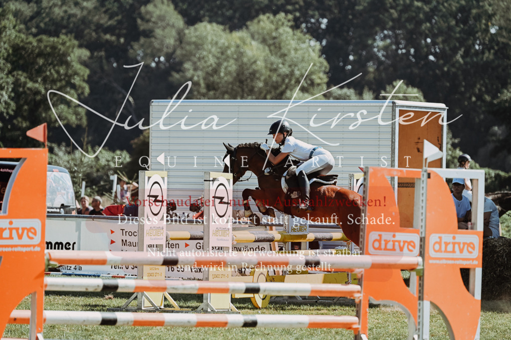 DSC_6185 | Pferde- und Turnierfotografie in Westsachsen. Pferdeportraits, Auftragszeichnungen und intuitive Kunst.