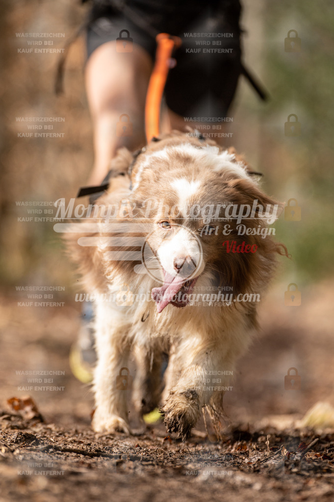 SPA_2023_DIM_Fun-8 | PayLife