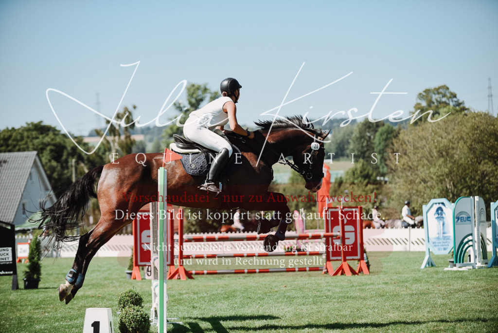 DSC_3047 | Pferde- und Turnierfotografie in Westsachsen. Pferdeportraits, Auftragszeichnungen und intuitive Kunst.