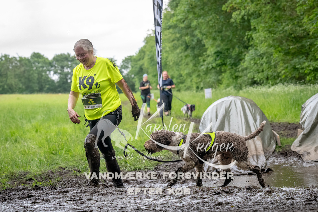 1555_ZZ91163-Bearbeitet | kk-dogfotos
