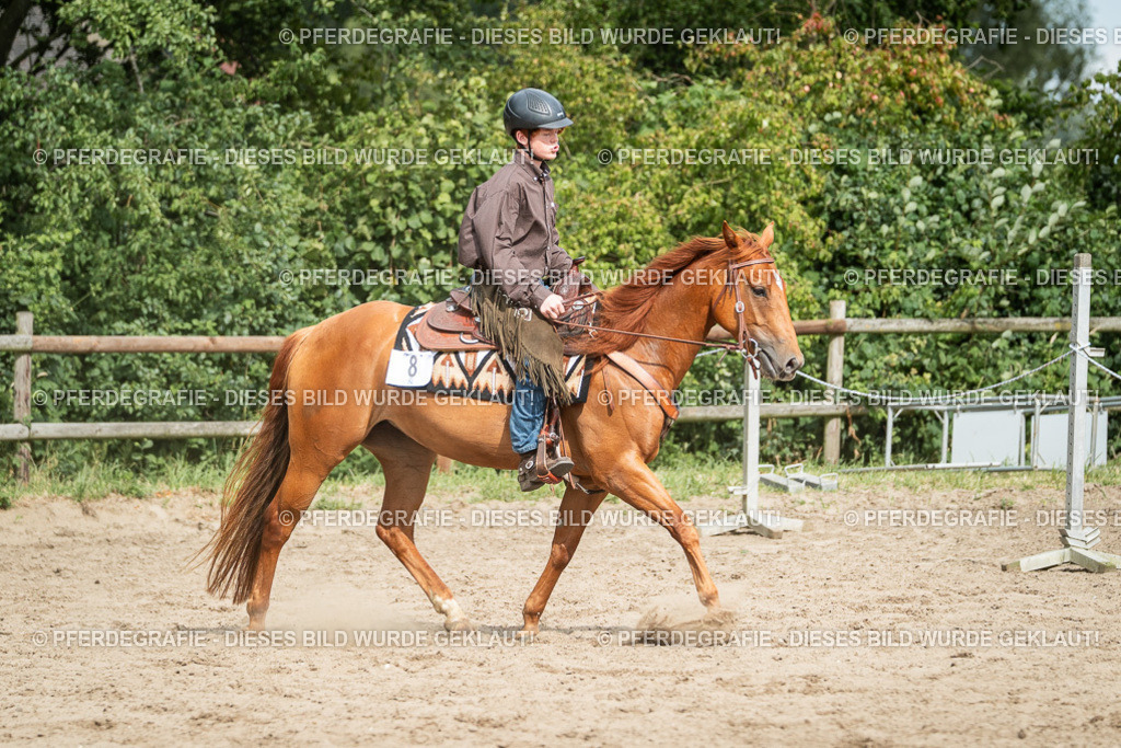 DSC03936 | Pferdegrafie