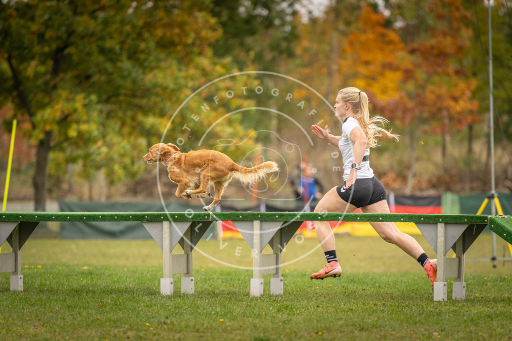 Pfotenfotografie_DV3A7007 | Hundefotografie, Tierfotograf, Pfotenfotografie, Fotoshooting Hund, Hunde Portrait, Hundesport, Hundeportraits, Heideshooting, Hunde, Sportfotograf, Hundefotograf, Turnierhundsport, THS,  - Realisiert mit Pictrs.com