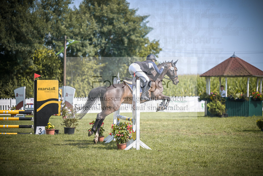 DOS_3542 | Entdecke hochwertige Reitturnierfotos von Foto Oger. Professionell, emotional und authentisch – jetzt Lieblingsmomente im Shop bestellen.Deutschlandweite Turnierfotografie. - Realisiert mit Pictrs.com