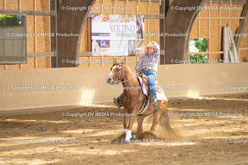 DSC00256 | dv-media-shop - Realisiert mit Pictrs.com