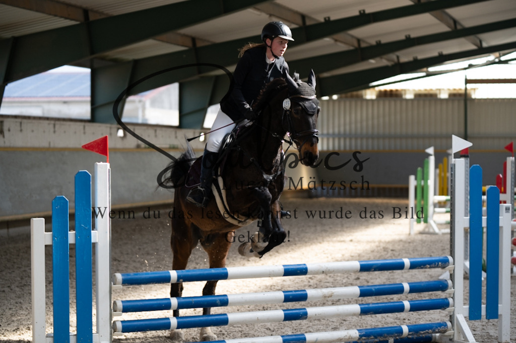 A7V06643 | Pferdefotograf