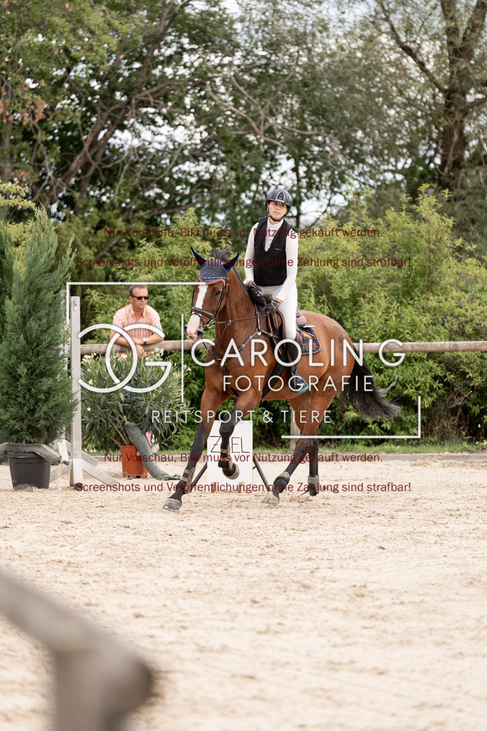 DSC06710 | Springturnier_Teamchallege_Talheim_2026, Celina_Heim, Uriah_5