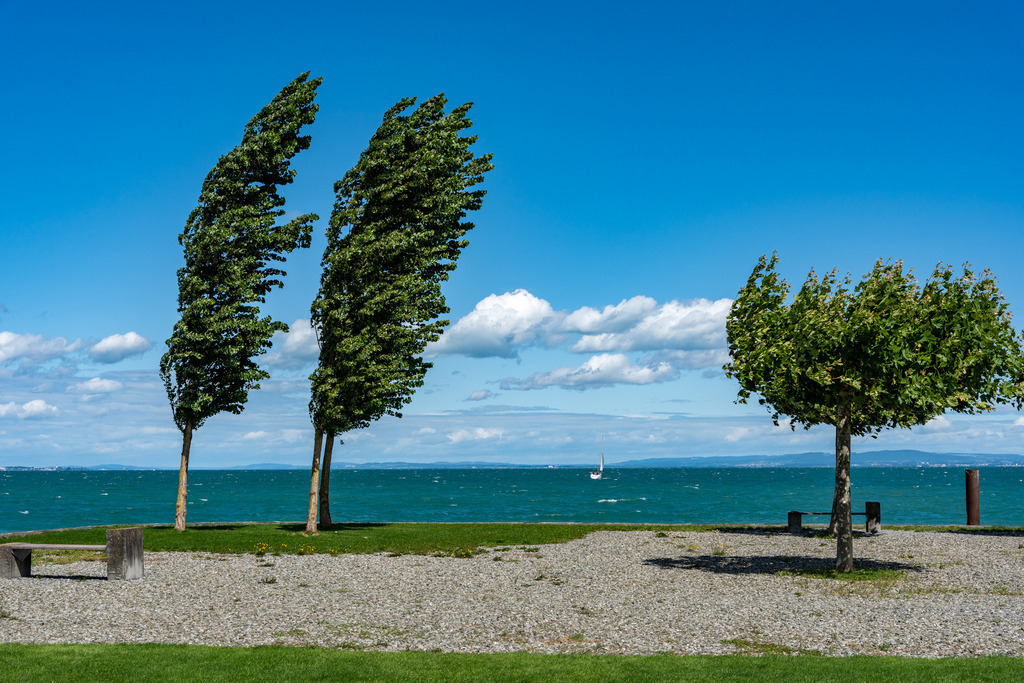 2023_08_03 A7401898 | bridgeman - Realisiert mit Pictrs.com