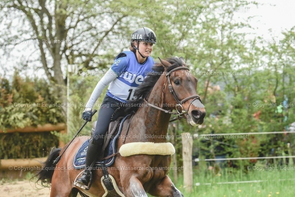 20230513_CCI4_Gelände_0218 | equistock