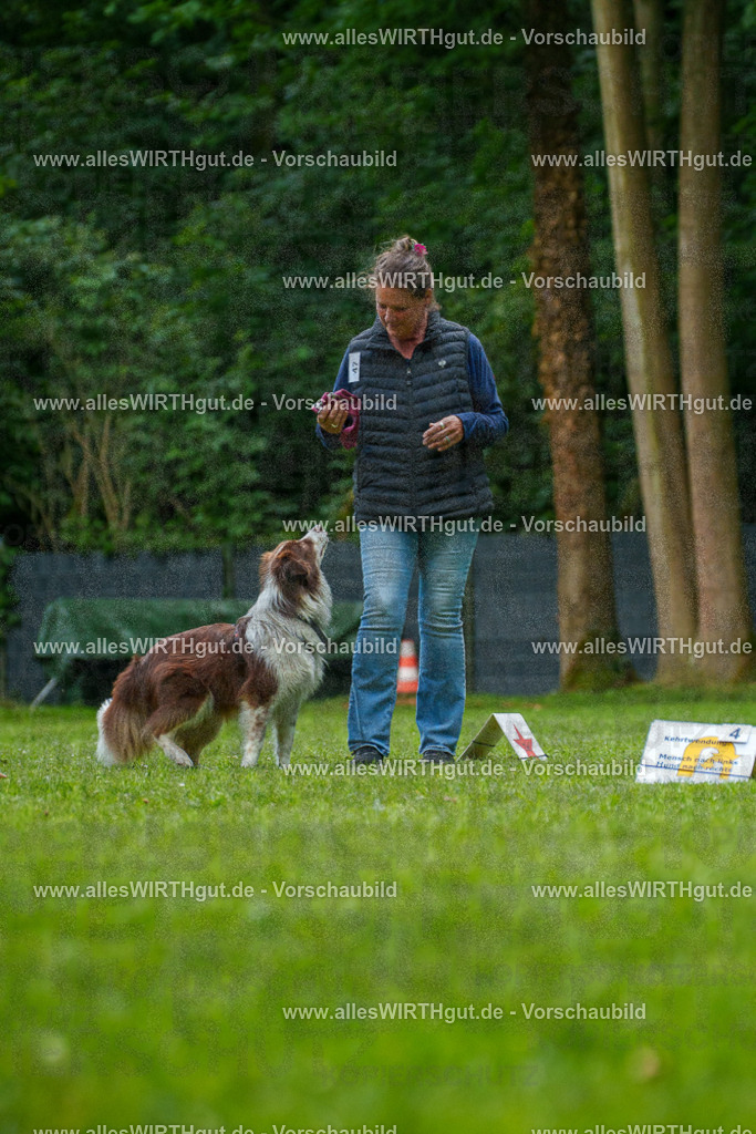 @allesWIRTHgut_Tierfotografie - www.allesWIRTHgut.de - 7R505484 | Professionelle Tierfotografie in Mönchengladbach von Daniel Wirth (allesWIRTHgut). Liebevolle & natürliche Bilder von Hunden & Katzen für unvergessliche Erinnerungen.
