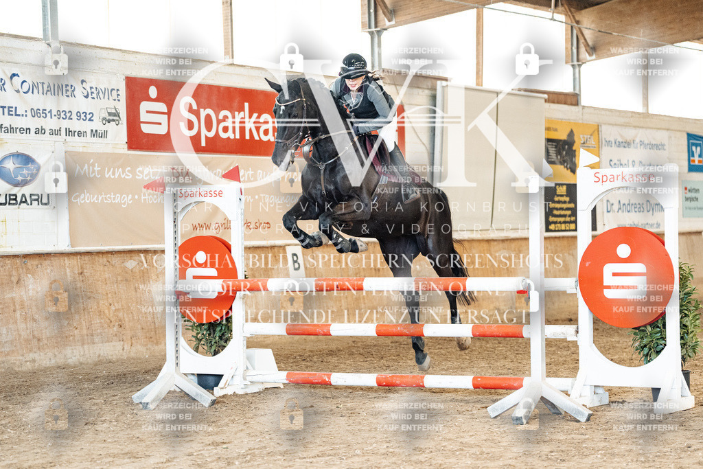 CK904930 | Turnierfotografie Pferdefotografie Trier Rheinland-Pfalz Pferdesport Reitsport Tierfotografie Sportfotografie Pferdevideo Pferdevideografie Equestrianvideography equestrianphotography  - Realized with Pictrs.com