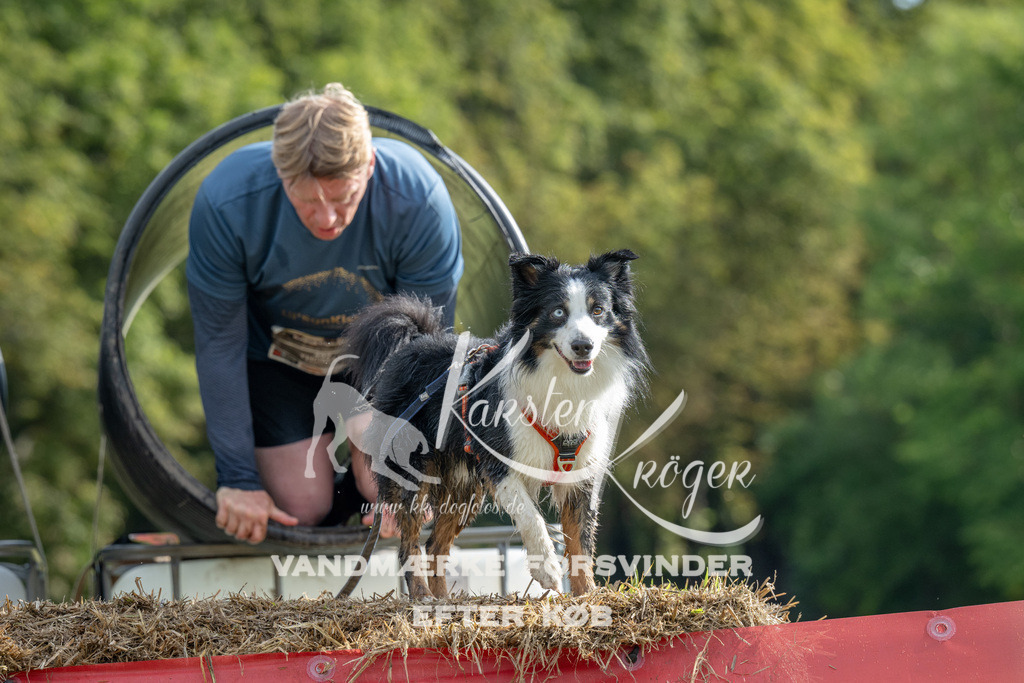0942_ZZ90918 | kk-dogfotos
