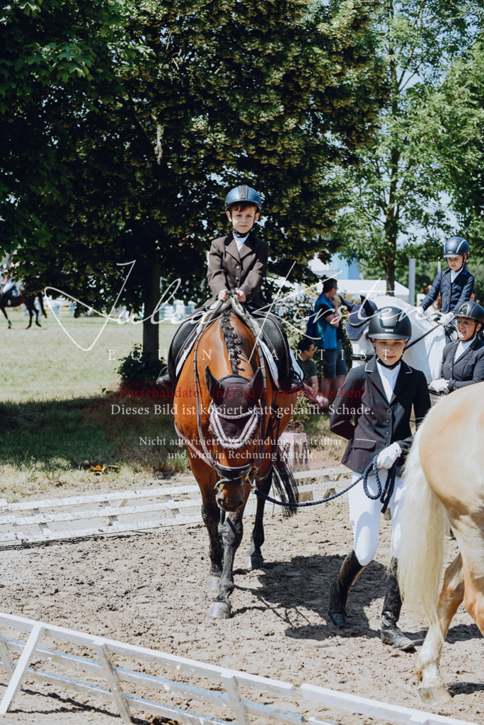 DSC_2164 | Pferde- und Turnierfotografie in Westsachsen. Pferdeportraits, Auftragszeichnungen und intuitive Kunst.