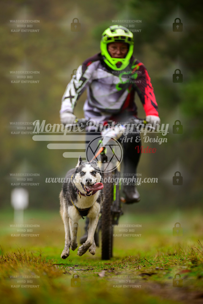 MompixPhotography_Bischwiller2025_Bike-75 | mompixphotography