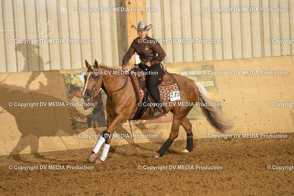 LAU00340 | dv-media-shop - Realisiert mit Pictrs.com