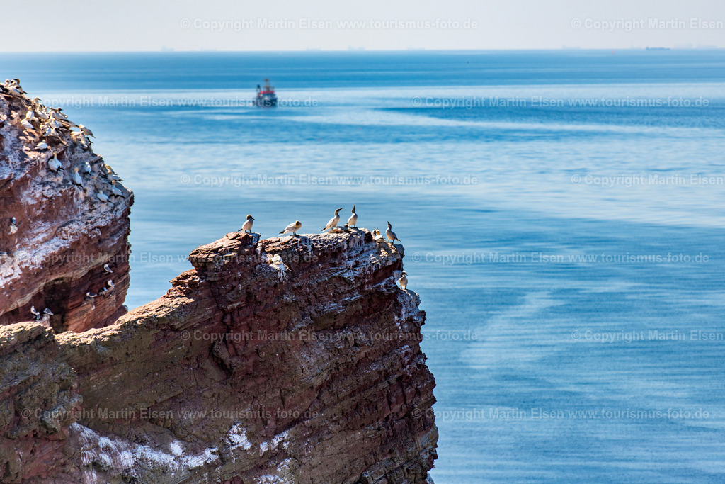 Helgoland Bastölpel_ELS_7946030818 | Helgoland - Aufnahmedatum: 03.08.2018, Aufnahmehöhe:  m, Koordinaten:  - , Bildgröße: 7825 x  5217 Pixel - Copyright 2018 by Martin Elsen, Kontakt: Tel.: +49 157 74581206, E-Mail: info@schoenes-foto.deSchlagwörter:Schleswig-Holstein,Landkreis Pinneberg,Düne,Hochseeinsel,Börteboote,Meer,Küste,Halunder,Oberland,Unterland,Strand,Seehunde,Robben,Lange Anna,Felsen,Roter Felsen,Luftbild,Luftbilder,Bastölpel - Realisiert mit Pictrs.com