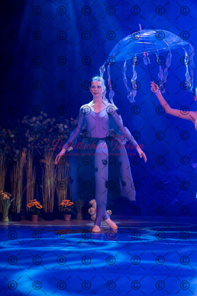 Ballettaufführung-1664 | Bildershop Lem'n Entertainment - Realisiert mit Pictrs.com