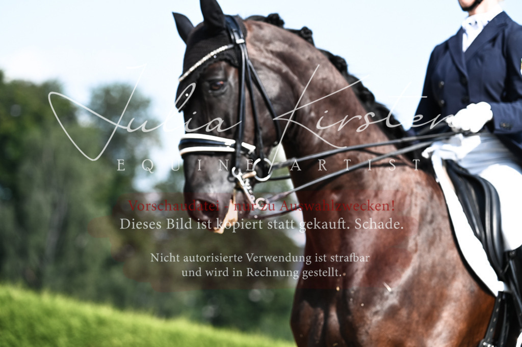 DSC_3131 | Pferde- und Turnierfotografie in Westsachsen. Pferdeportraits, Auftragszeichnungen und intuitive Kunst.