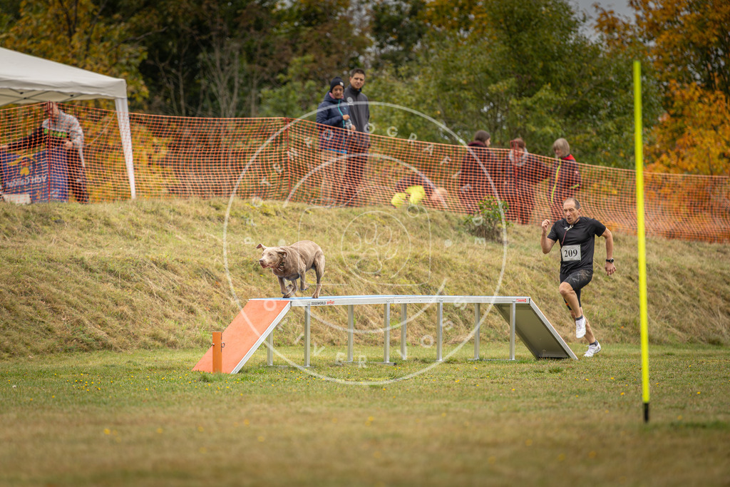 Pfotenfotografie_DV3A2725 | Hundefotografie, Tierfotograf, Pfotenfotografie, Fotoshooting Hund, Hunde Portrait, Hundesport, Hundeportraits, Heideshooting, Hunde, Sportfotograf, Hundefotograf, Turnierhundsport, THS,  - Realisiert mit Pictrs.com