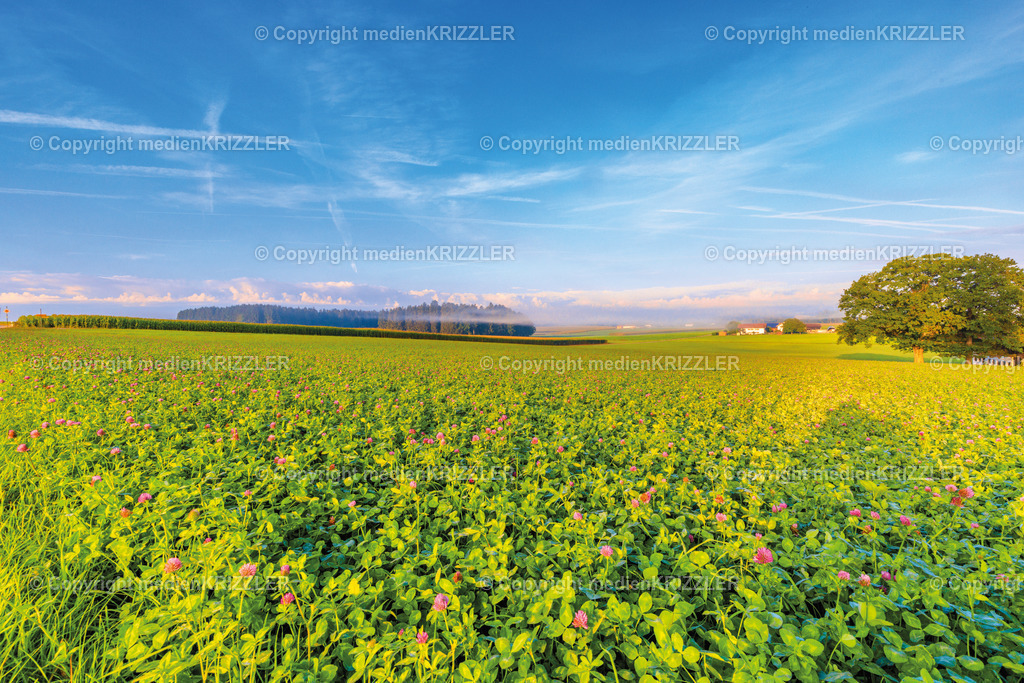 _J3A8557 | medienkrizzler - Realisiert mit Pictrs.com