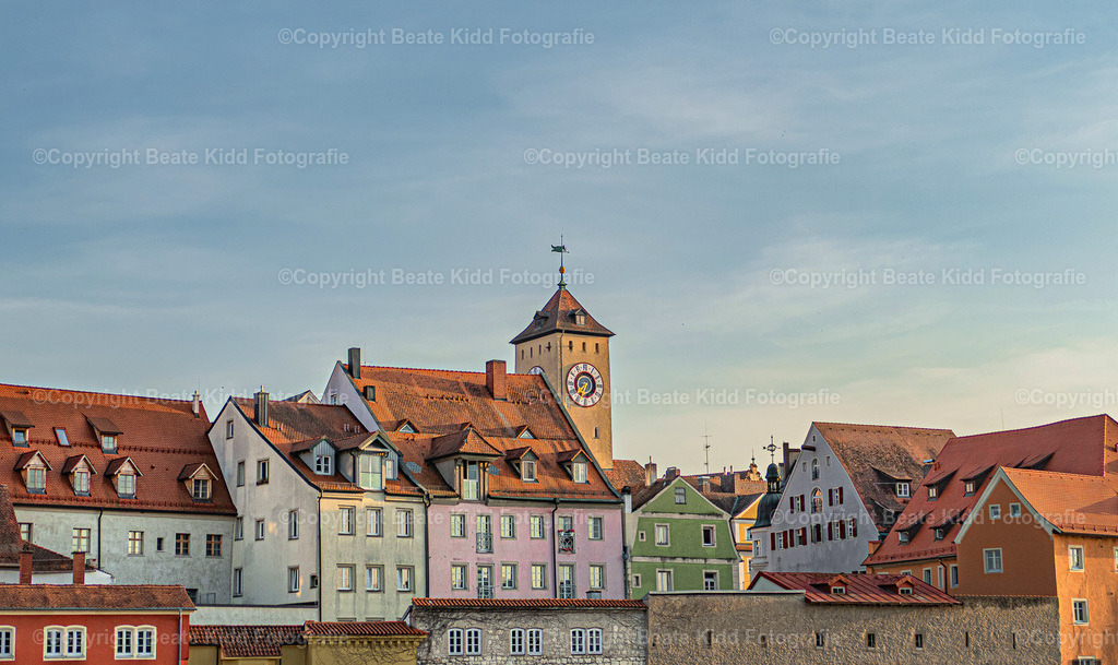 P1170868 | beatekidd-fotografie - Realisiert mit Pictrs.com