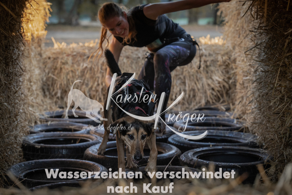 0929_ZZ93152 | kk-dogfotos