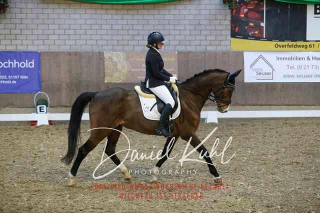 IMG_3017 | Turnierfotos kaufen im Webshop von Daniel Kuhl Photography – entdecke professionelle Reitsportfotos aus Turnieren & Events. Hochwertige Turnierbilder online bestellen & sichern. Jetzt Fotos von Reitsportturnieren kaufen!