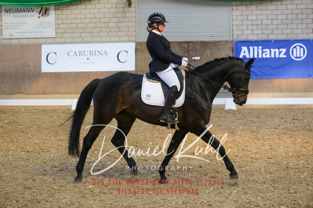 IMG_2629 | Turnierfotos kaufen im Webshop von Daniel Kuhl Photography – entdecke professionelle Reitsportfotos aus Turnieren & Events. Hochwertige Turnierbilder online bestellen & sichern. Jetzt Fotos von Reitsportturnieren kaufen!