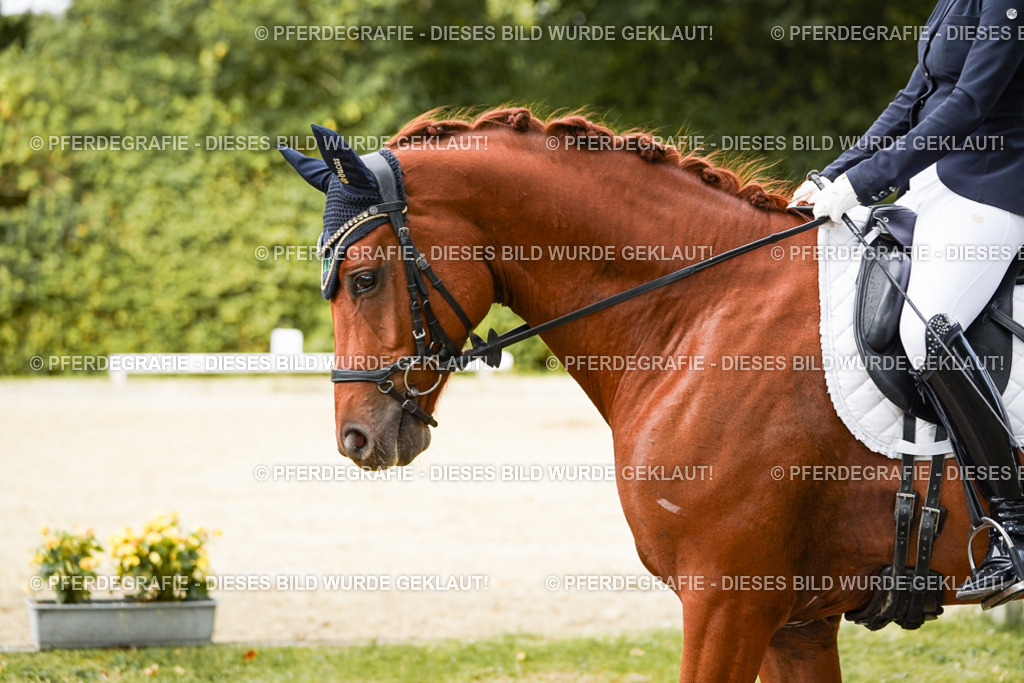 DSC02896 | Pferdegrafie