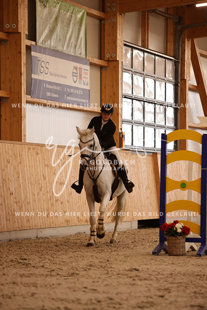 1J2A3869Luisa Teichmann_ Dara 29_ Kn203_ Hohen Wieschendorf_ Glantz | Foto- und Videografie für alles rund ums Pferd. Hochwertige Bilder und Videos vom Spring- und Dressurreiten, Voltigieren & mehr. Jetzt aktuelle Veranstaltungen und Preise im Shop ansehen. - Realisiert mit Pictrs.com