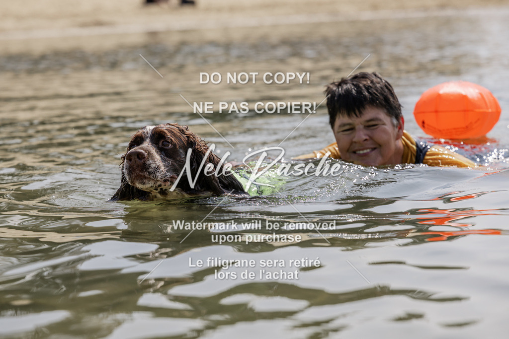 BUHU_SUP_556 | nelerasche