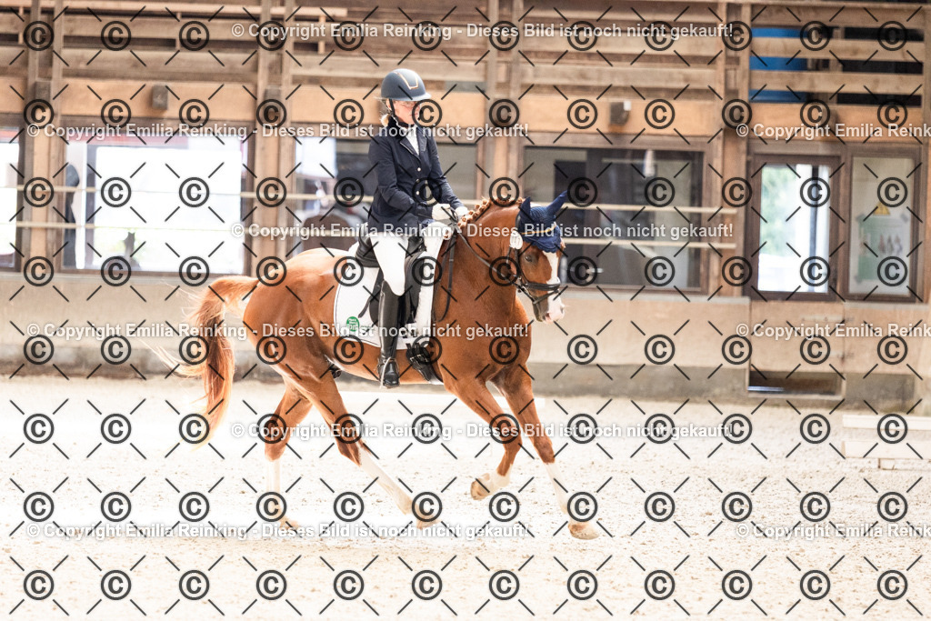 CL5A6405 | Emilia Reinking Fotografie - Realisiert mit Pictrs.com