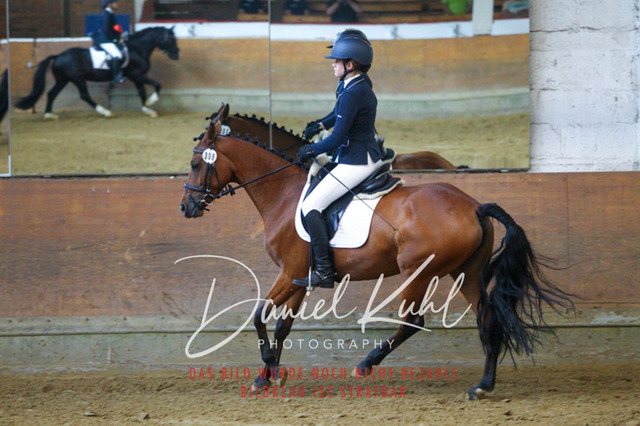 DKP43381 | Turniersportfotografie; Pferdefotografie; Dressurfotografie