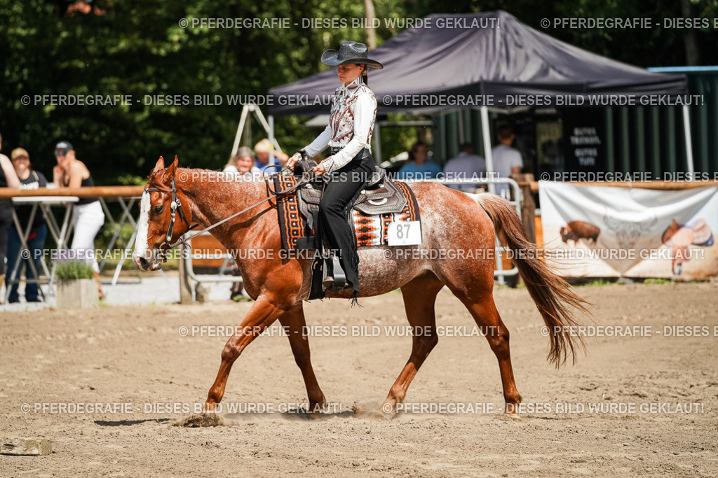 DSC07727 | Pferdegrafie