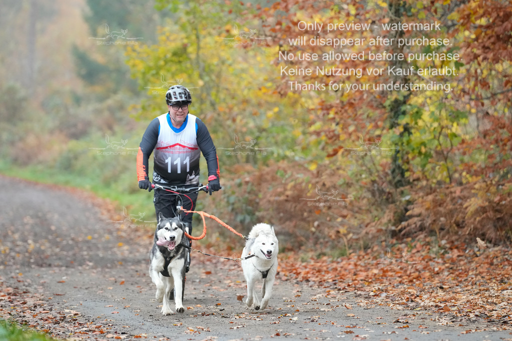 ScooterRigs2dogs_So-26 | stephaniefillaphotographie - Realisiert mit Pictrs.com