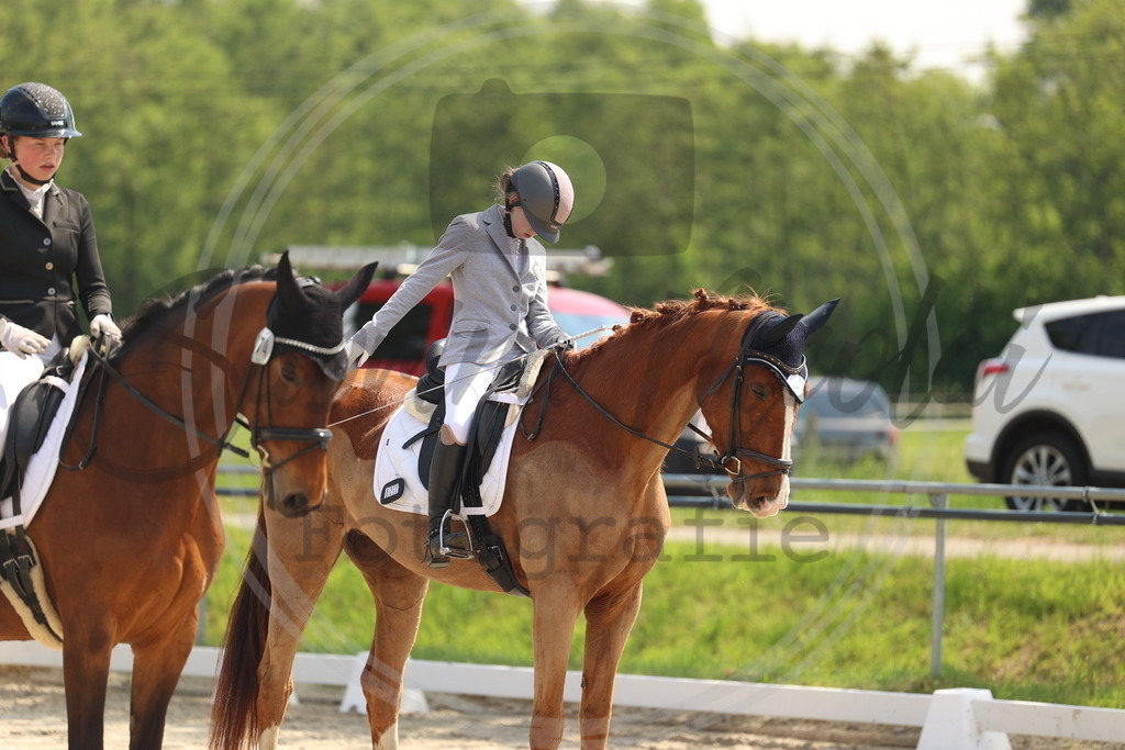 994A7164 | sabrinanicolaifotografie - Realisiert mit Pictrs.com