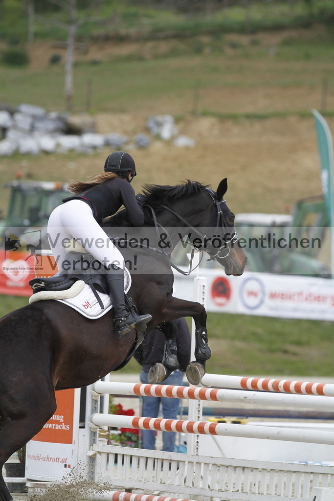 _MG_1207 | equestrian-live-com