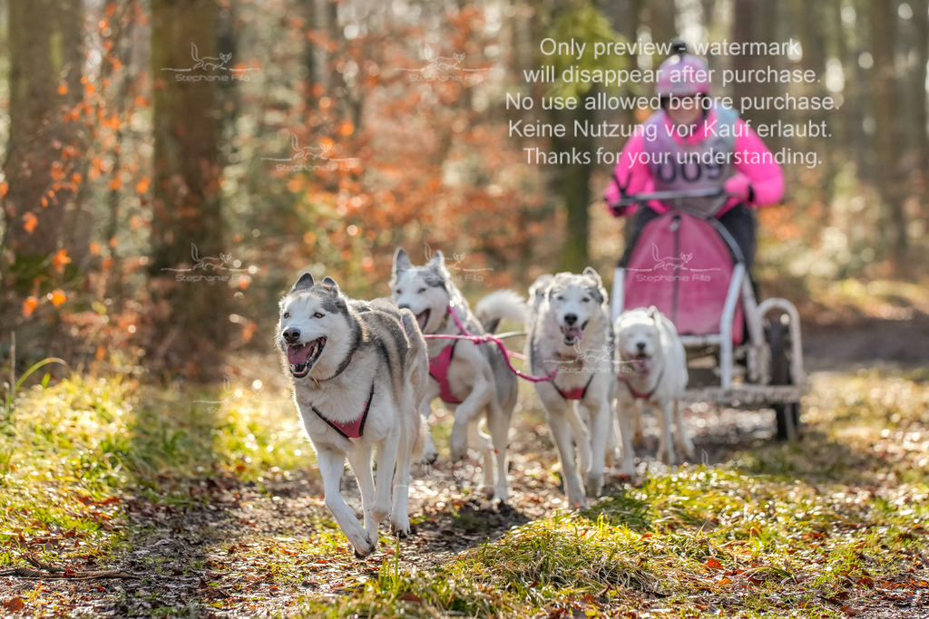 So_Gespanne-26 | stephaniefillaphotographie - Realisiert mit Pictrs.com