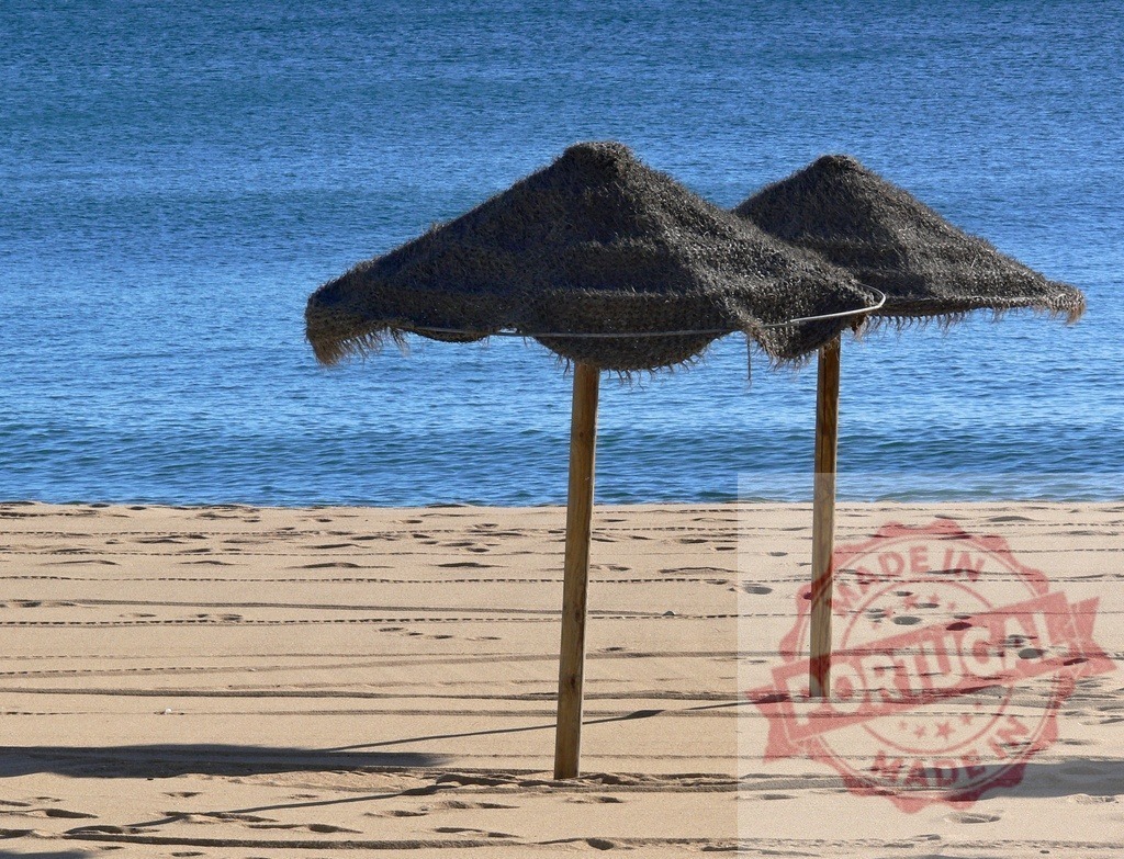 Tiki umbrellas standing on sandy beach beside calming sea | Two straw umbrellas casting shadows on a sandy beach next to the blue ocean - Realized with Pictrs.com