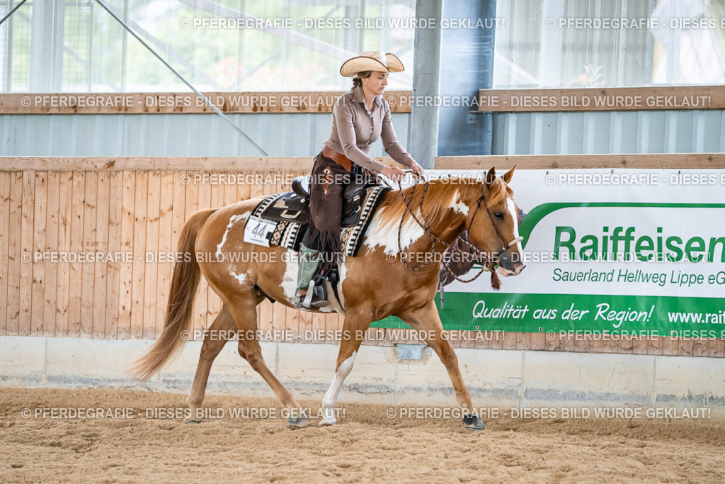 DSC09030 | Pferdegrafie