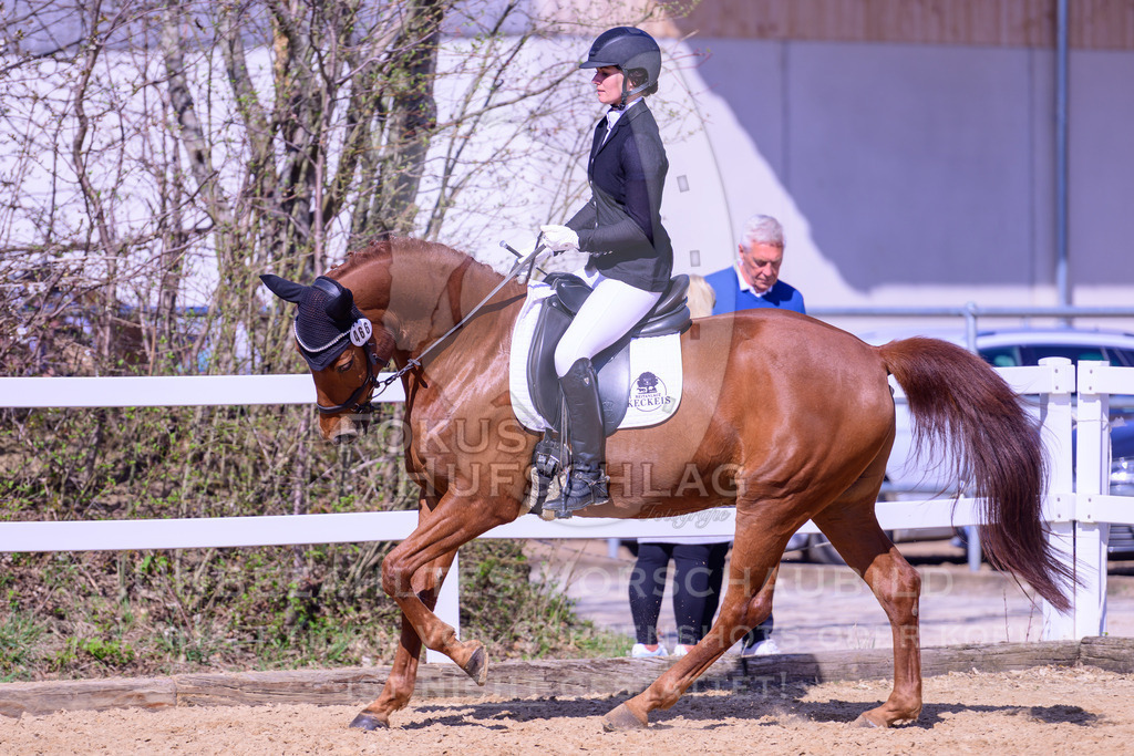 11042026-Mammendorf-Prfg31-2-0034 | Fokus Hufschlag Fotografie - Realisiert mit Pictrs.com