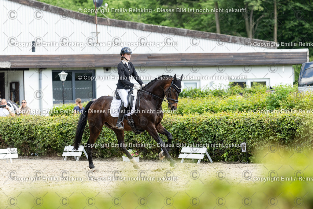 CL5A4892-2 | Emilia Reinking Fotografie - Realisiert mit Pictrs.com