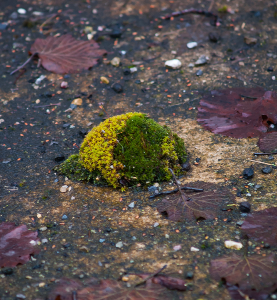 PSX_20230112_215306 | OLYMPUS DIGITAL CAMERA - Realisiert mit Pictrs.com