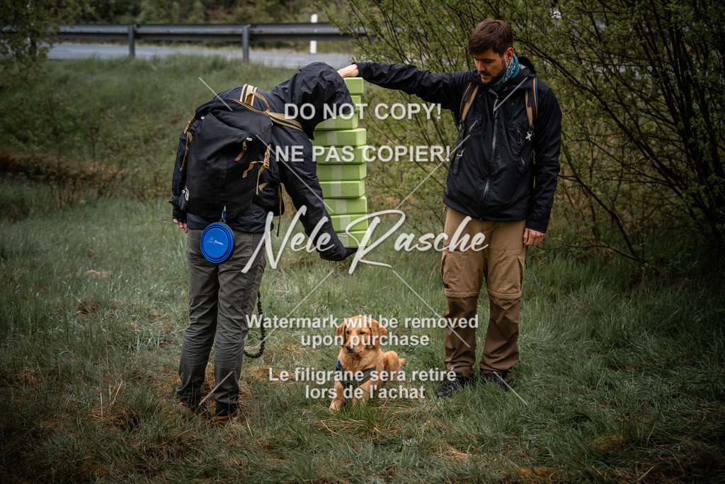 nelerasche_SoUnterwegs_09 | nelerasche