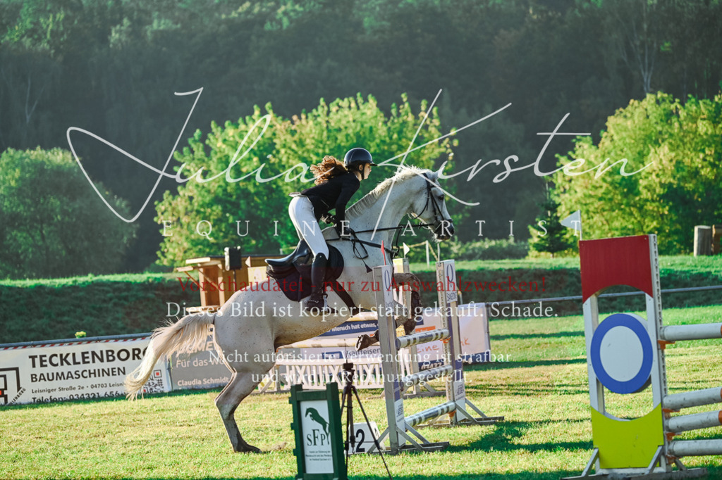 DSC_4035 | Pferde- und Turnierfotografie in Westsachsen. Pferdeportraits, Auftragszeichnungen und intuitive Kunst.