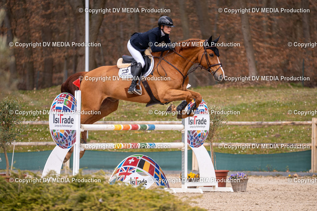 Kranichstein Tag 2-1766 | dv-media-shop - Realisiert mit Pictrs.com