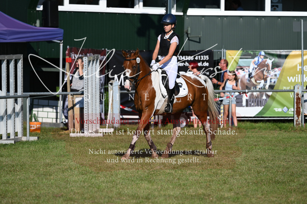 DSC_4880 | Pferde- und Turnierfotografie in Westsachsen. Pferdeportraits, Auftragszeichnungen und intuitive Kunst.