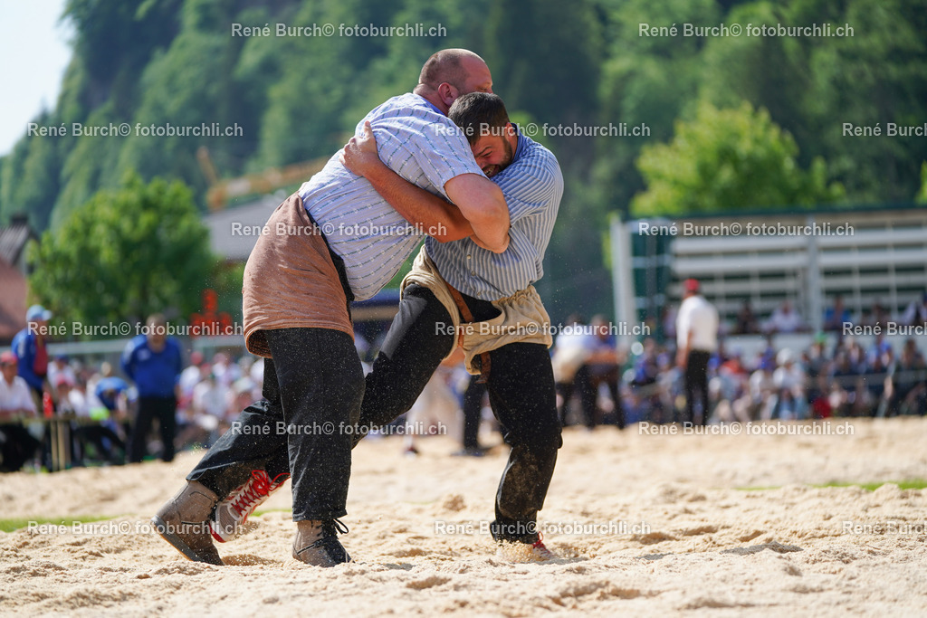 20220515-DSC07978 | René Burch leidenschaftlicher Fotograf aus Kerns in Obwalden.  Hier finden sie Sport, Landschaft und Natur Fotografie.
 - Realisiert mit Pictrs.com