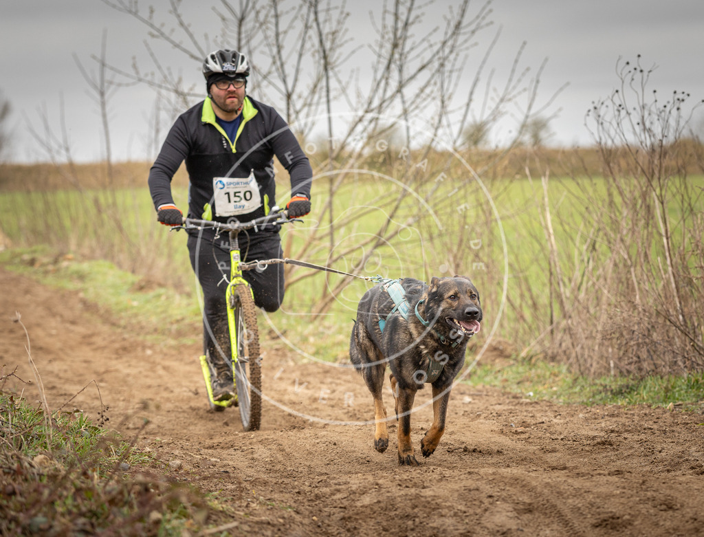 DV3A1530 | Hundefotografie, Tierfotograf, Pfotenfotografie, Fotoshooting Hund, Hunde Portrait, Hundesport, Hundeportraits, Heideshooting, Hunde, Sportfotograf, Hundefotograf, Turnierhundsport, THS,  - Realisiert mit Pictrs.com