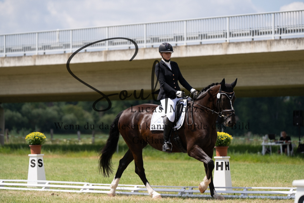 A7V00026 | Pferdefotograf